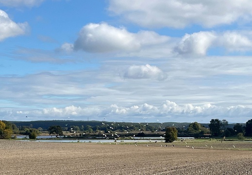 22-10-06 11-15-25 2403